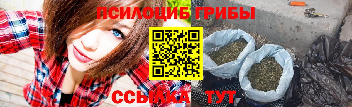 где купить наркотик  Галлюциногенные грибы прущие грибы  Вход с VPN  Миллерово 