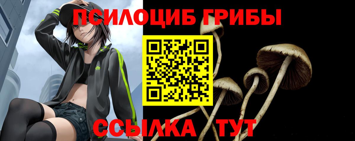 Галлюциногенные грибы Psilocybe Миллерово